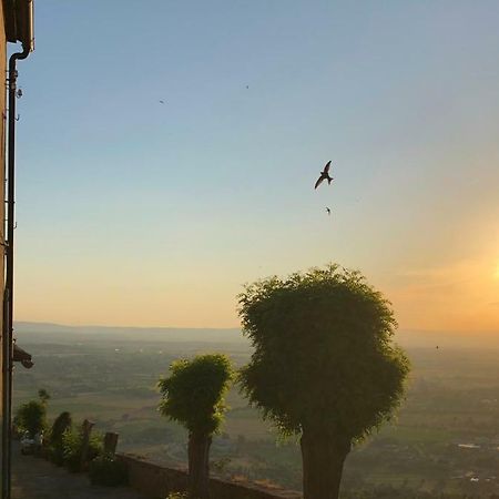 Una Pausa Te Per L'Anima - Casa Vacanza Cortona Zewnętrze zdjęcie
